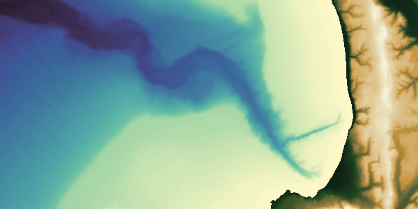 iPad showing the web page of brighton.dog